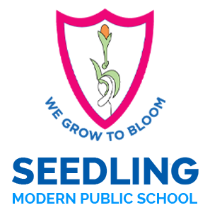 Seedling Modern Public School
